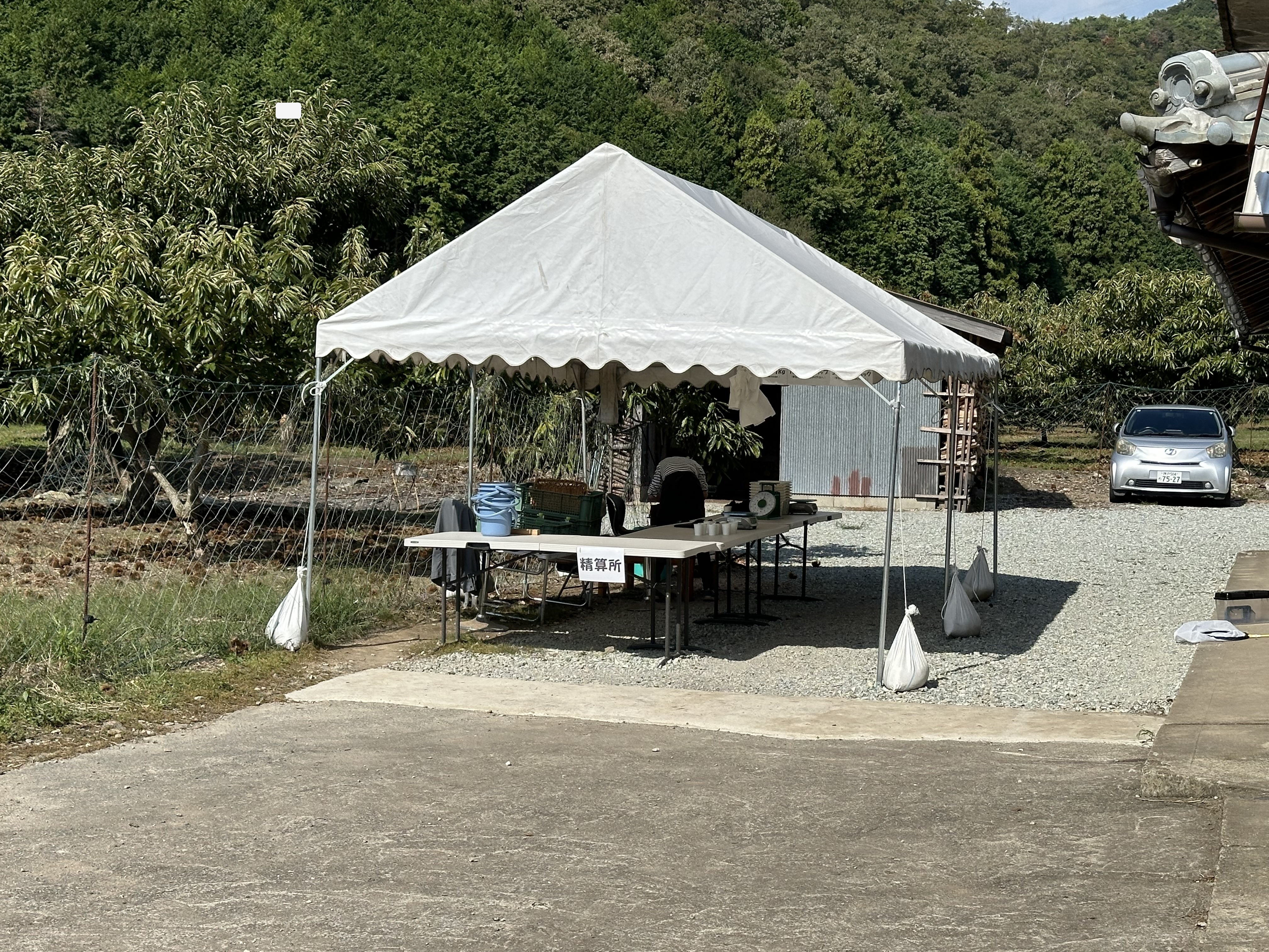 計量やお持ち帰りの様子